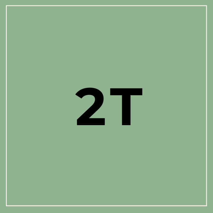 2T
