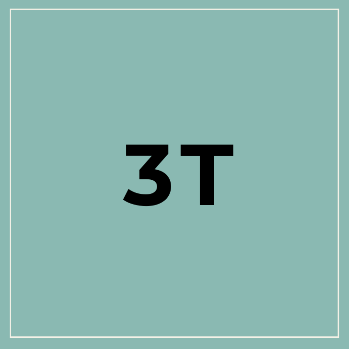 3T