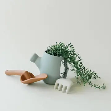 Dried Thyme Garden Set